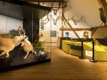 Forst- und Jagdmuseum in Born auf dem Darß